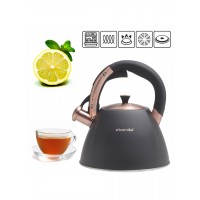 Чайник 3 л зі свистком 