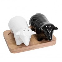 Набір для солі та перцю №13