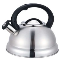 Чайник 3,0 л Rainbow 