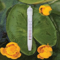 ТБ-3-М1 вик.1 термометр побутовий для води  0/+50°C 